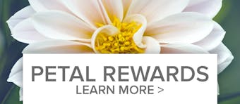 Petal Points loyalty reward points program