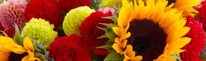 Same Day Indianapolis Flower Delivery Mcnamara Florist