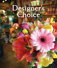 Designer's Choice Plants and Bloomers