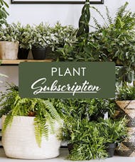 Plants Monthly