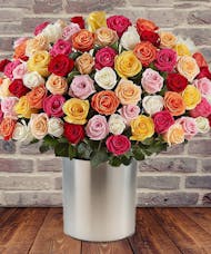 100 Multi-Colored Roses
