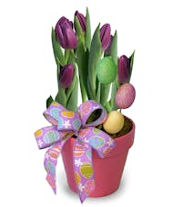Easter Bulbs - Tulips or Hyacinth