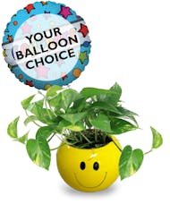 Happy Pothos Plant - With Balloon Included