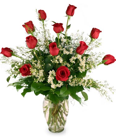 One Dozen Long Stemmed Roses Indianapolis Same Day Rose Delivery