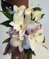 5 Bloom Dendrobium Orchid Wrist Corsages