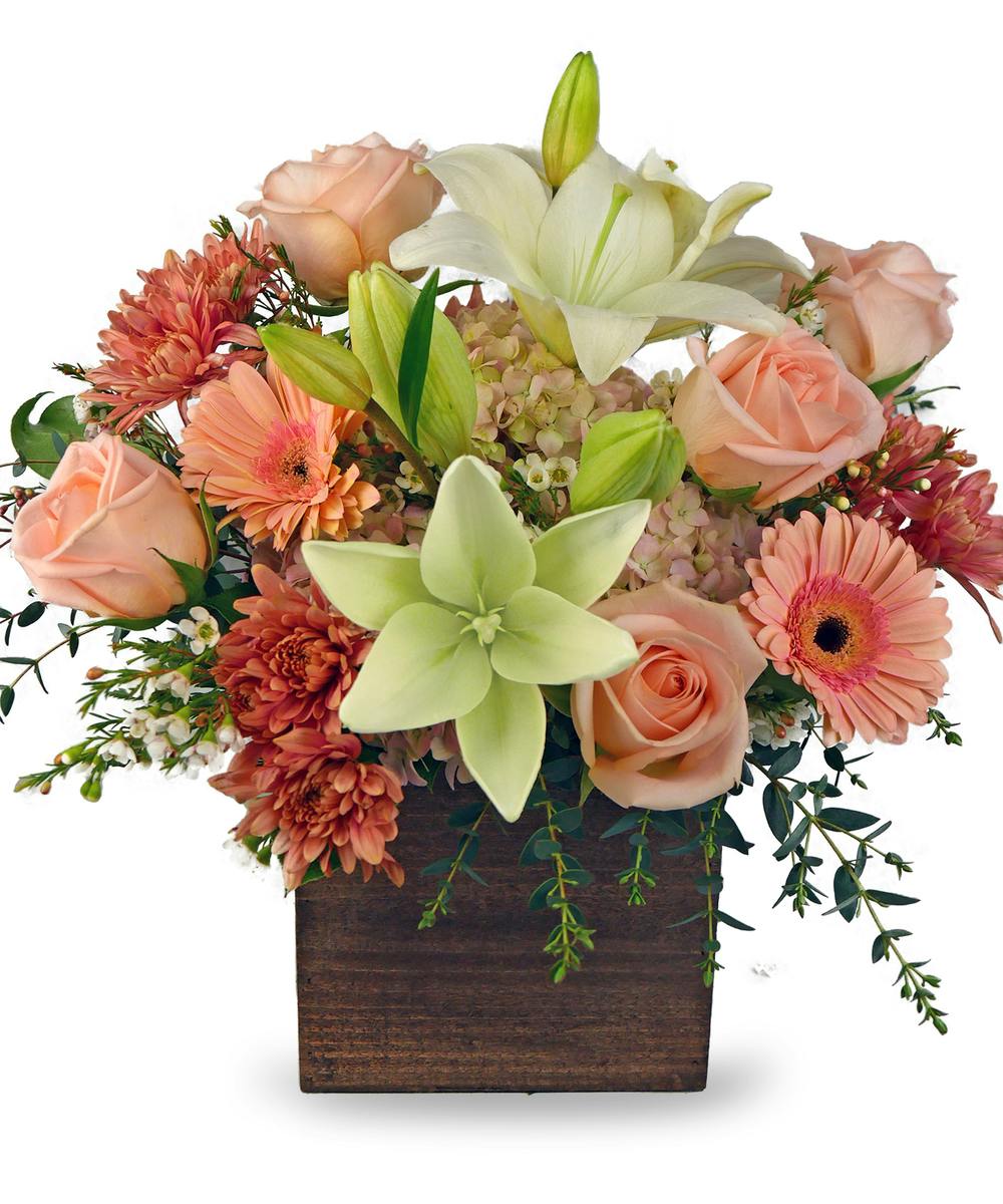 Peach Pie Summer Flower Arrangement McNamara Florist