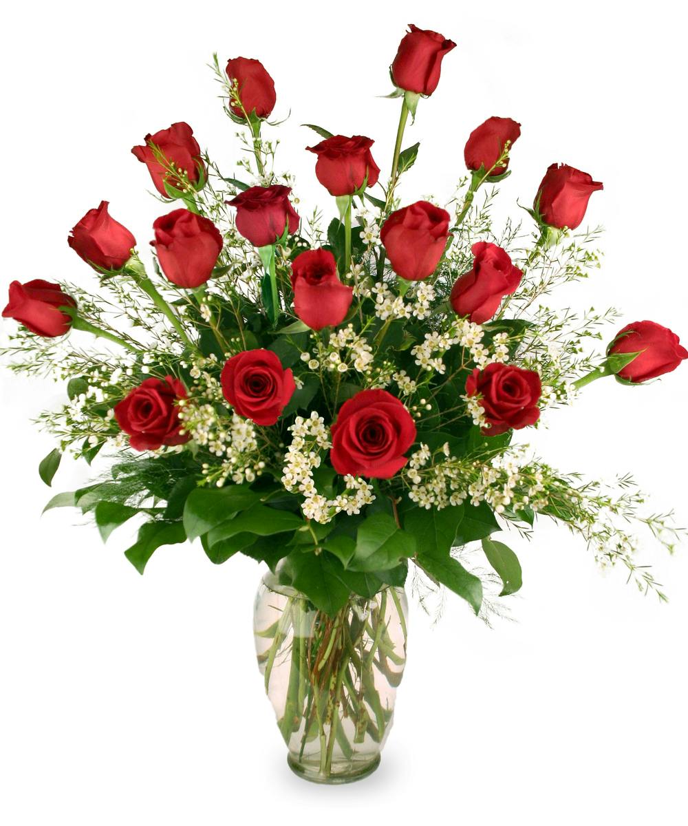 Indianapolis Roses Delivered SameDay Rose Delivery IN McNamara Florist