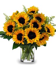 Summer Sunflower Special