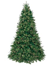 Deluxe Belgium - Artifical Christmas Tree