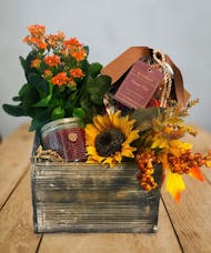 Fall Fragrance & Kalanchoe Gift Basket