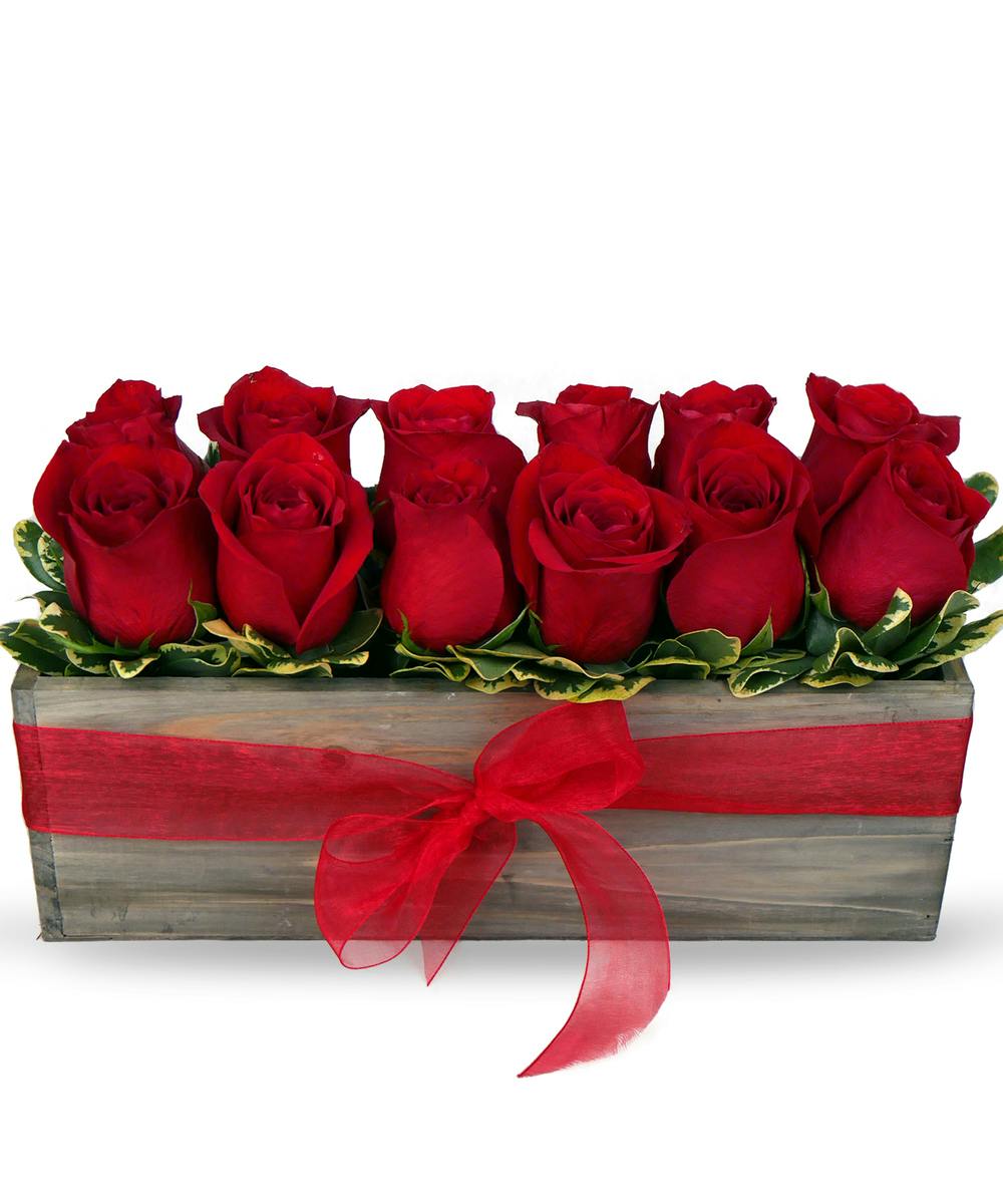 Indianapolis Roses Delivered SameDay Rose Delivery IN McNamara Florist