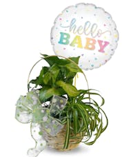 New Baby Planter - With Balloon Included!