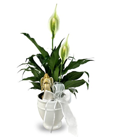 Small Ceramic Peace Lily with Angel