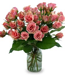 Peach Spray Rose Special - Special of the Week!
