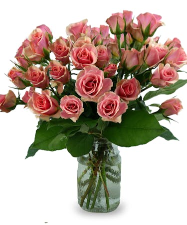 Peach Spray Rose Special - Special of the Week!