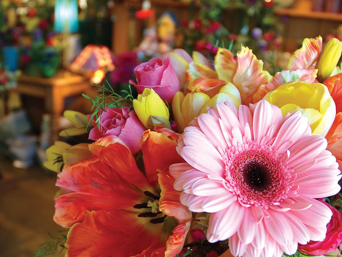 McNamara Florist Hours & Address 8 Flower Shop Locations Near